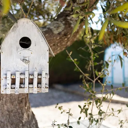 아파트 Maravilha Da Costa Guesthouse 알제주르